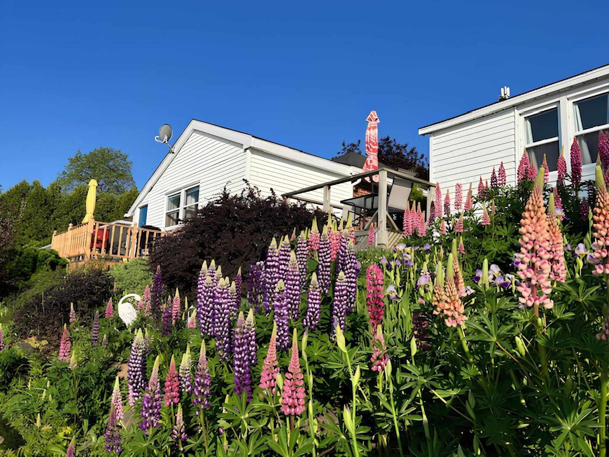 Dewar'S Inn And Cottages Prescott Eksteriør billede